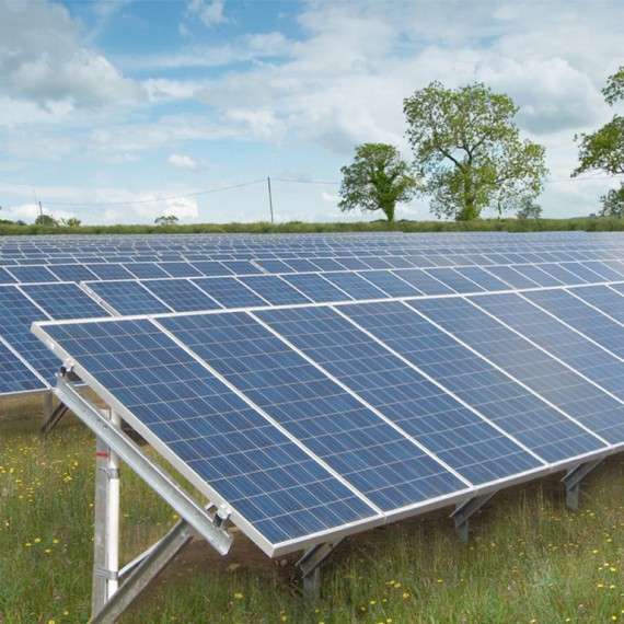 Vine Farm Solar PV, Cambridgeshire